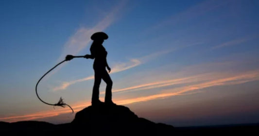 Black Whip by Robin Braid