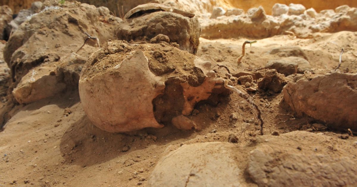 Going Extinct by Wyatt Roberts