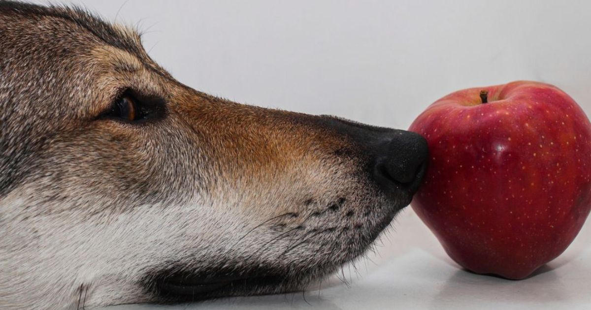 House of Bricks by Jacek Wilkos