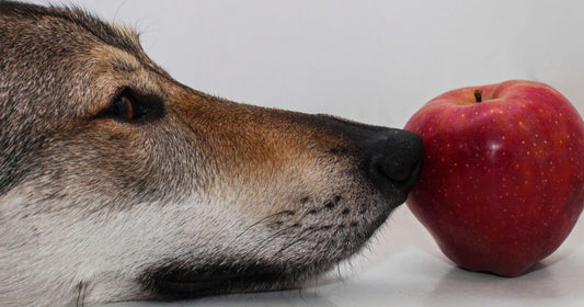 House of Bricks by Jacek Wilkos