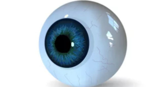 How Dominique Got Their Glass Eye by Nina Miller