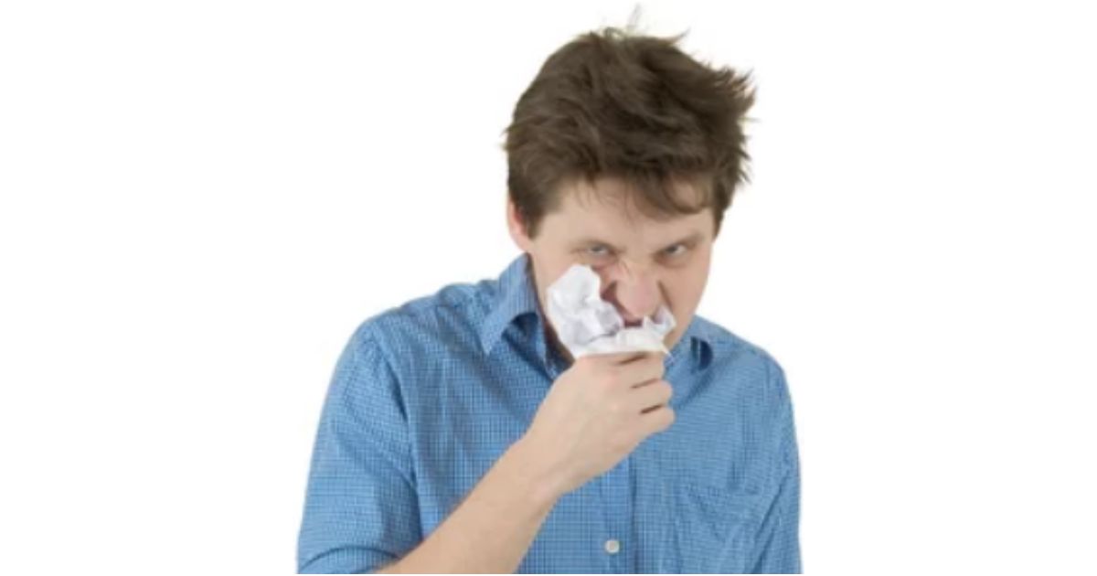 Listen to Your Insides by Michelle Brett