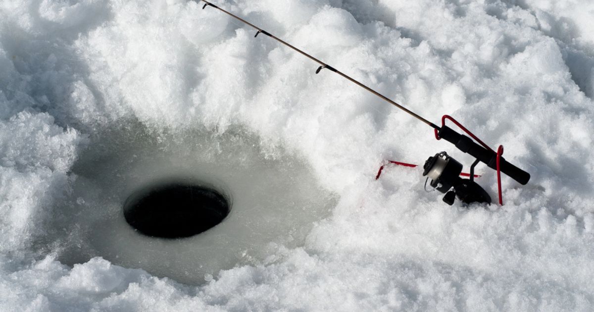 One Below by Tannis Mill