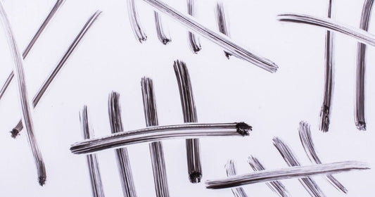 Surprise! by Andrew Kurtz