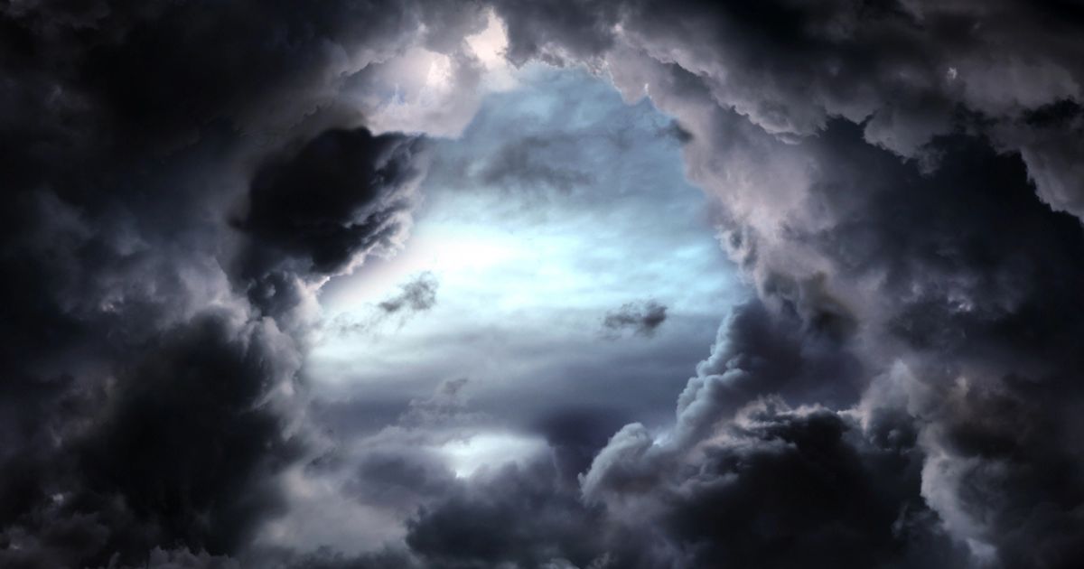 The Alert by P.J. Reed