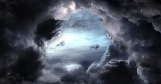 The Alert by P.J. Reed