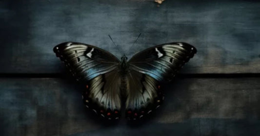 The Butterfly Defect by Andreas Flögel