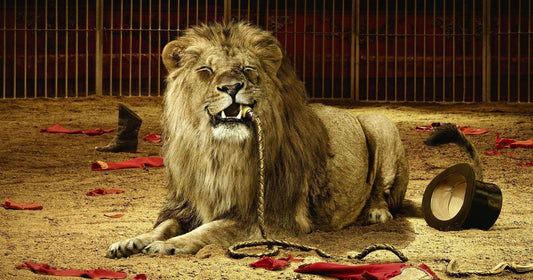 A Circus Act to Remember by C. L. Sidell