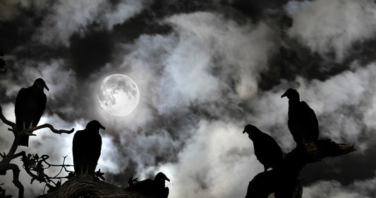 Buzzards by Vonnie Winslow Crist