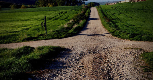 Crossroads by Rachel Reeves