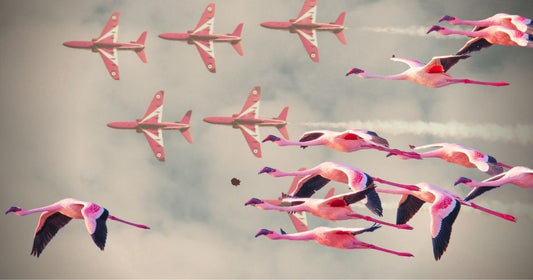 Desperate Times by Kimberly Rei