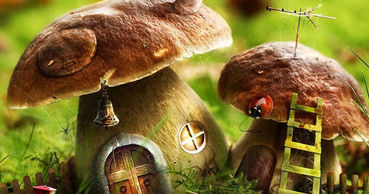 Faerie Things by Chris Hewitt