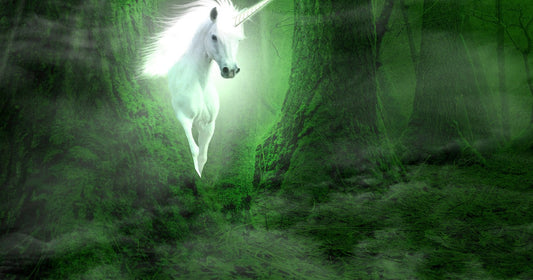 First Time by Liam Hogan