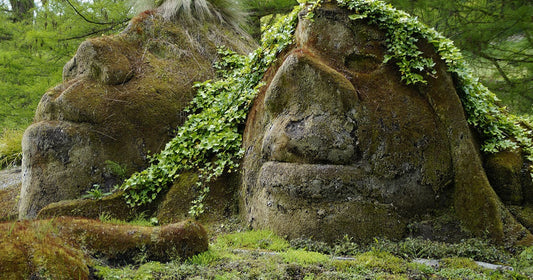 Gaze Upon a Mountain Face by Steven Holding