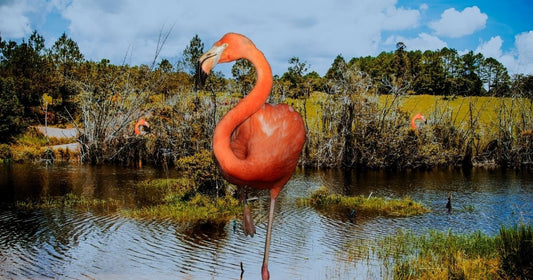 Gone Fishing by Pauline Yates