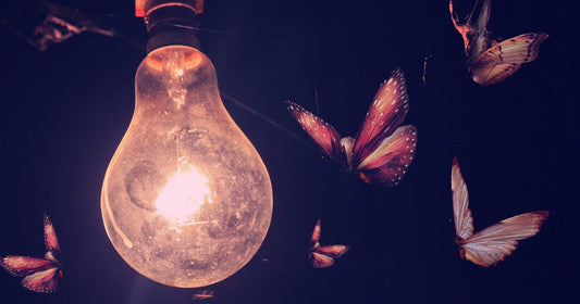 Headmoths by J. Motoki