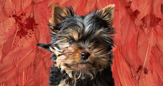 In Waves by David D. West