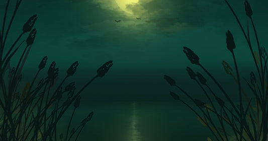 Lady in White by A.R. Johnston