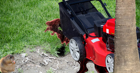 Lawnmower Surfin’, USA by Scott O'Neill
