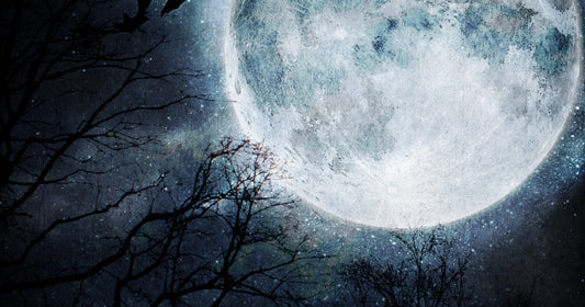 Moonlight by Annie Percik