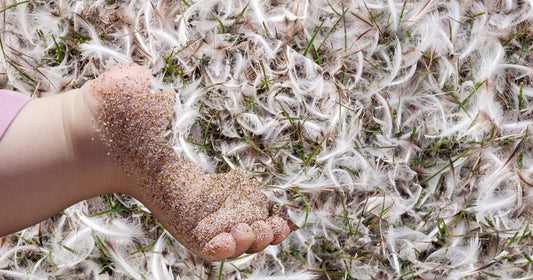 Moulting Season by Stuart Docherty