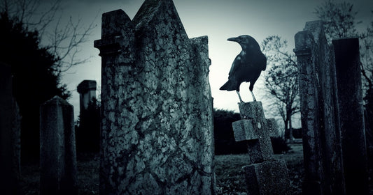 Nevermore by Shawn M. Klimek