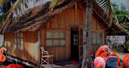 Not Again by Karen Thrower