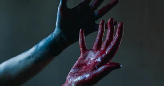 Officer, It Was Just a Game by Crystal N. Ramos