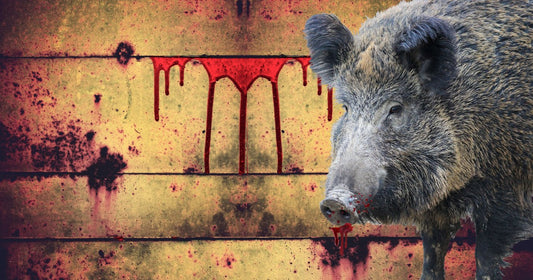 Out of Bacon by Kimberly Rei