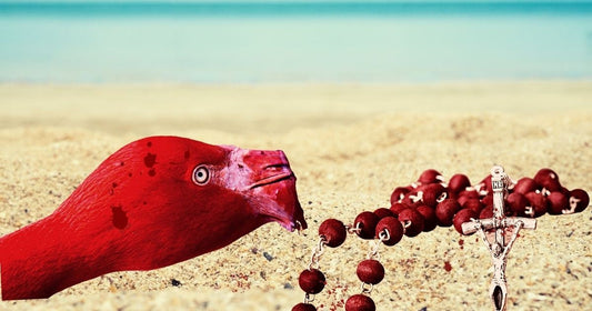 Pink Devils by Tracy Davidson