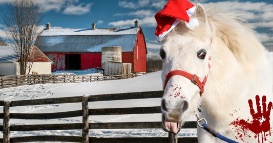 Pony for Christmas by Pauline Yates