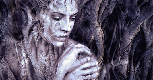 Roots by Colleen Anderson