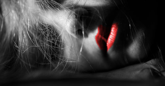 Safe Haven by Michelle Brett