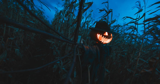 Scarecrow by Denzell Cooper