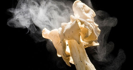 Spores on the Wind by Chris Clemens