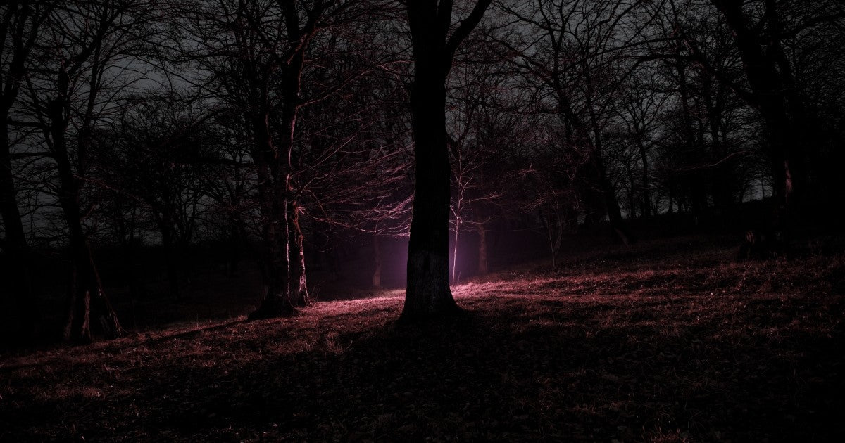 The Ancestor Stone by Joel R. Hunt