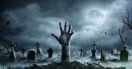 The Burial Plot by Susmita Ramani