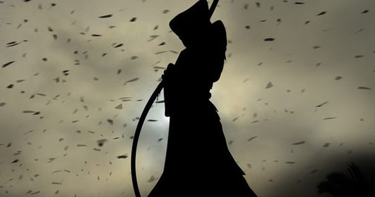 The Capital D by A.L. King