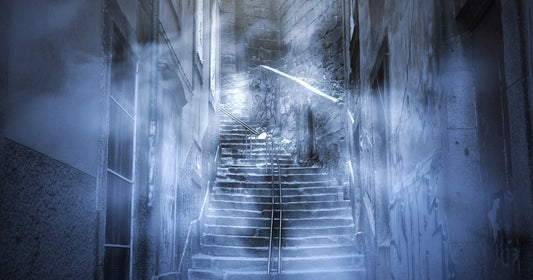 The Carrion Maven by Casey Douglass