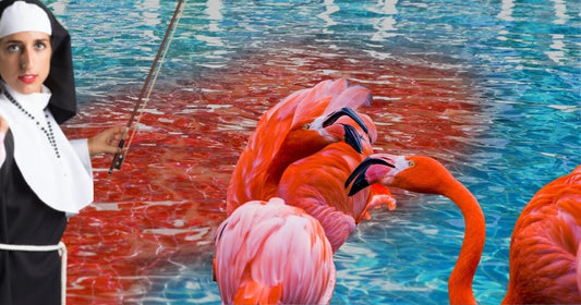 The Flamboyance of Flamingoes by Bernardo Villela