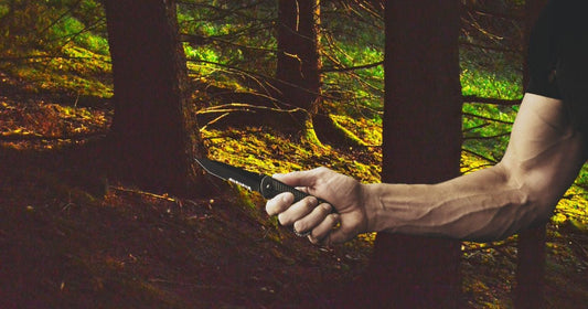 The Forest Never Forgets by Andrew Anderson