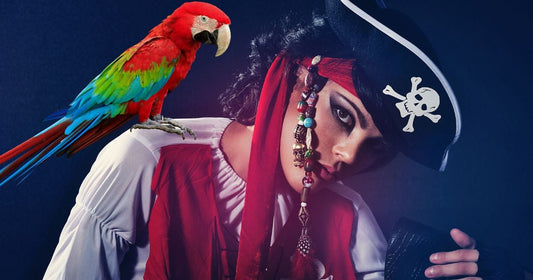The Pirate’s Parrot by Tracy Davidson
