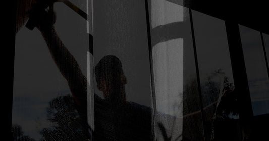 The Window Cleaner by Tracy Davidson