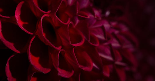 Time to Retreat by Gabriella Balcom