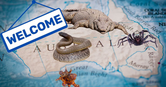 Welcome to (Deadly) Australia by Geoff Hart